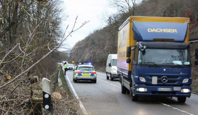 Einsatz Nr. 017 / Hilfe K /Baum über Fahrbahn