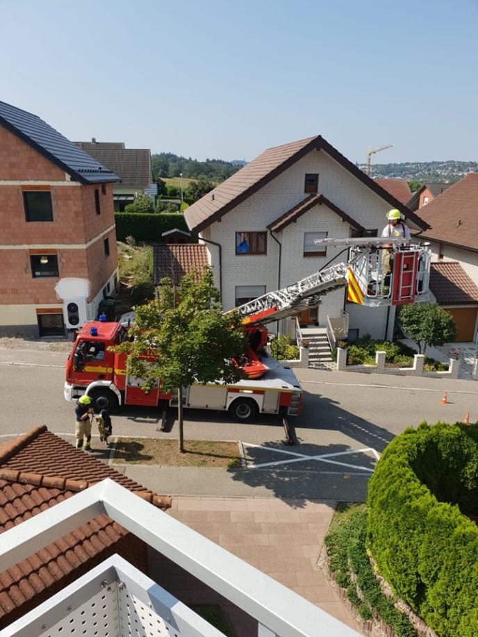 Einsatz Nr. 237 Hilfe 1 Tragehilfe Rettungsdienst