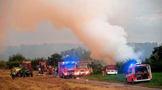 Einsatz Nr. 199 Brand 2 Flächenbrand