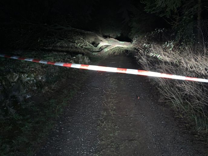 Einsatz Nr. 052 / Hilfe 0 Baum über Radweg