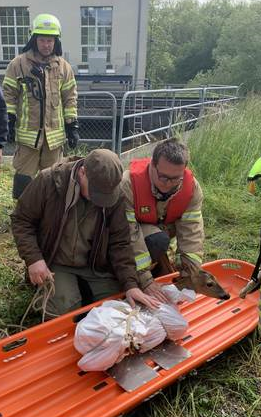 Einsatz Nr. 131 Hilfe K Tierrettung