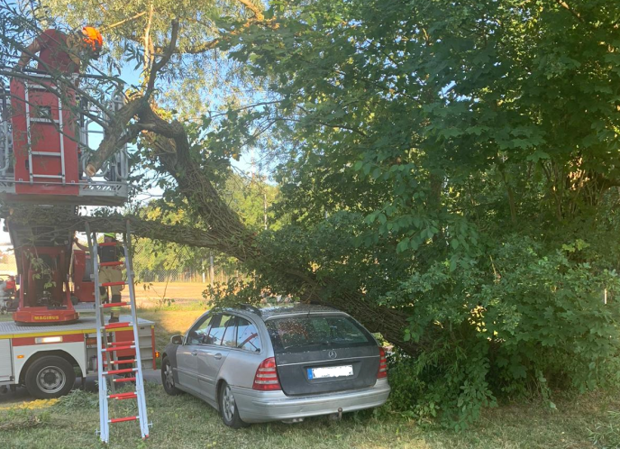  Einsatz Nr. 130 Hilfe 1 Baum über PKW