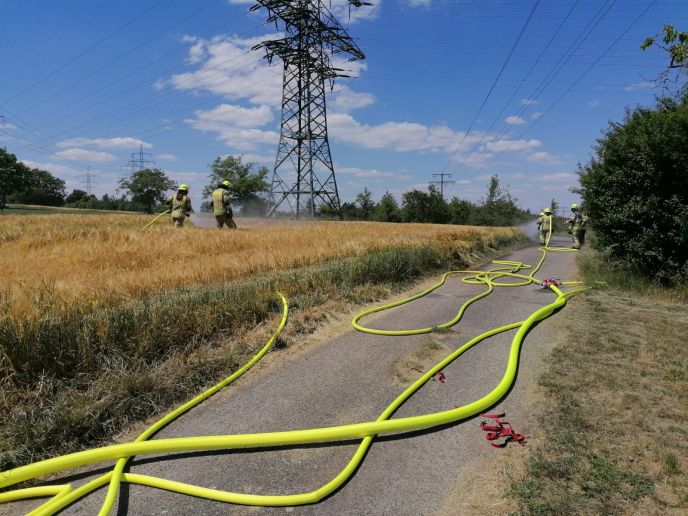 Einsatz Nr.115 Brand 2 Flächenbrand