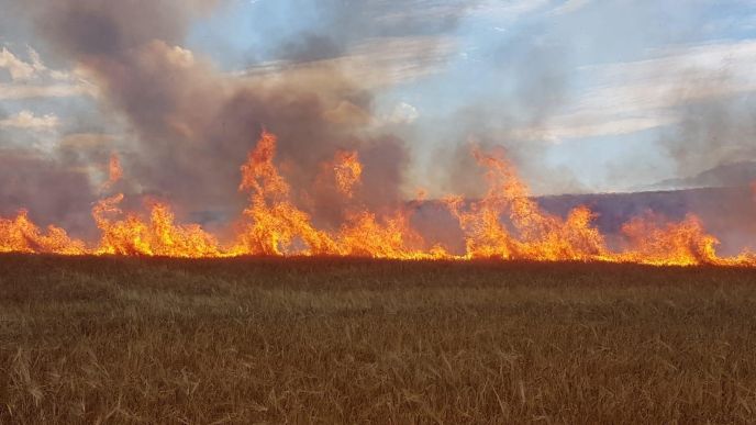 Einsatz Nr. 164 Brand 4 Flächenbrand