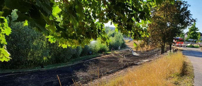 Einsatz Nr. 171 Brand 2 Flächenbrand