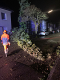 Einsatz Nr. 062 Hilfe K Baum über Fahrbahn