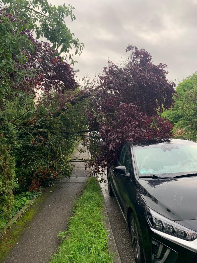 Einsatz Nr. 150 Hilfe K Baum auf PKW