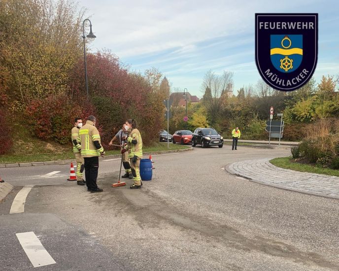 Einsatz Nr. 255 Hilfe 0 Verunreinigte Fahrbahn