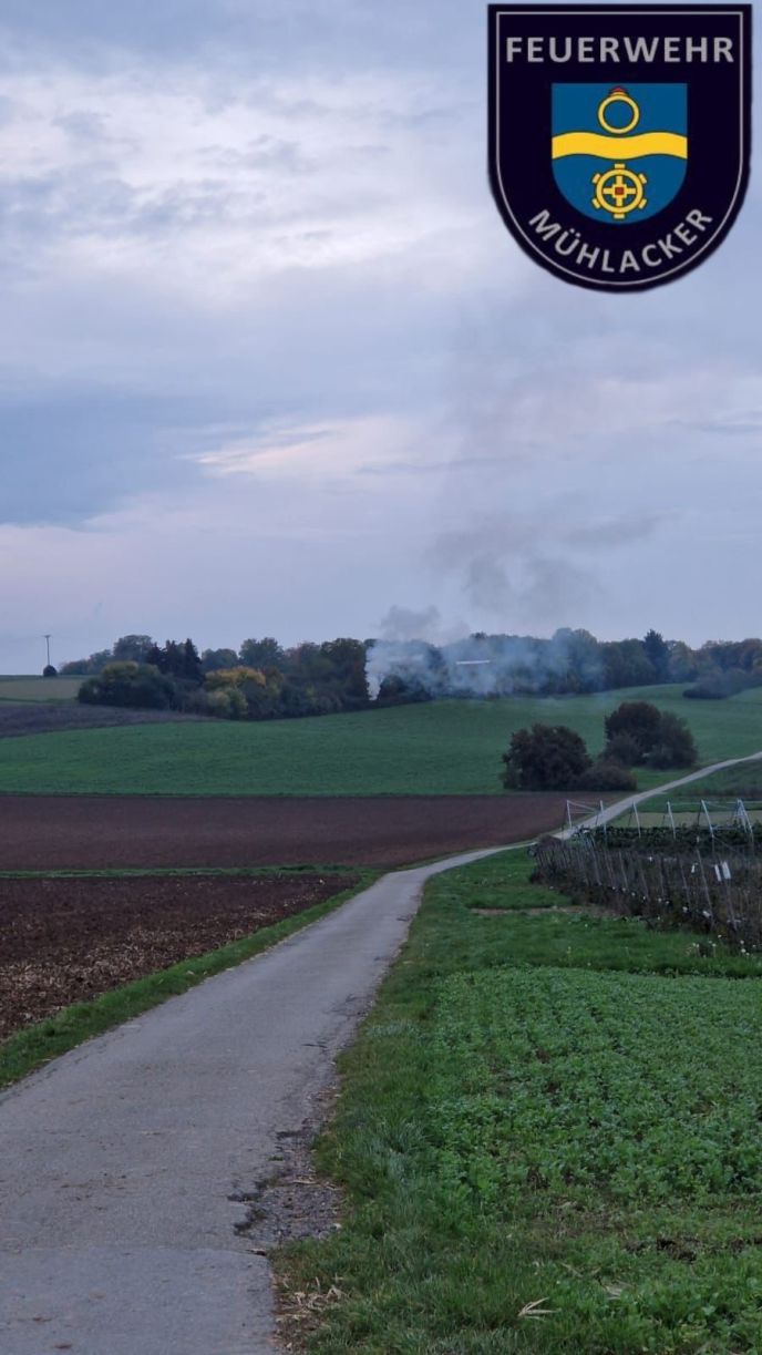 Einsatz Nr. 269 Brand 0 Überprüfung Rauchentwicklung