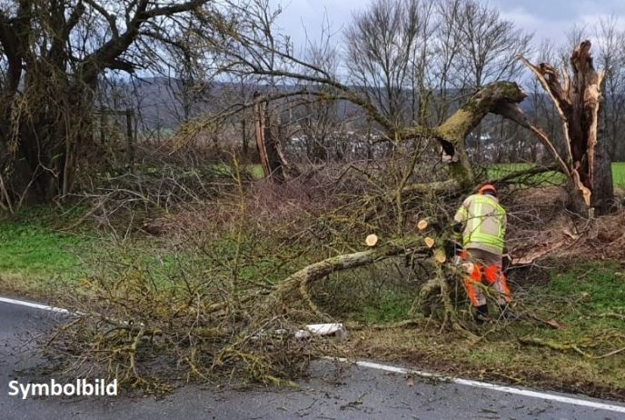 Einsatz Nr. 145 Hilfe 0 Baum über Fahrbahn