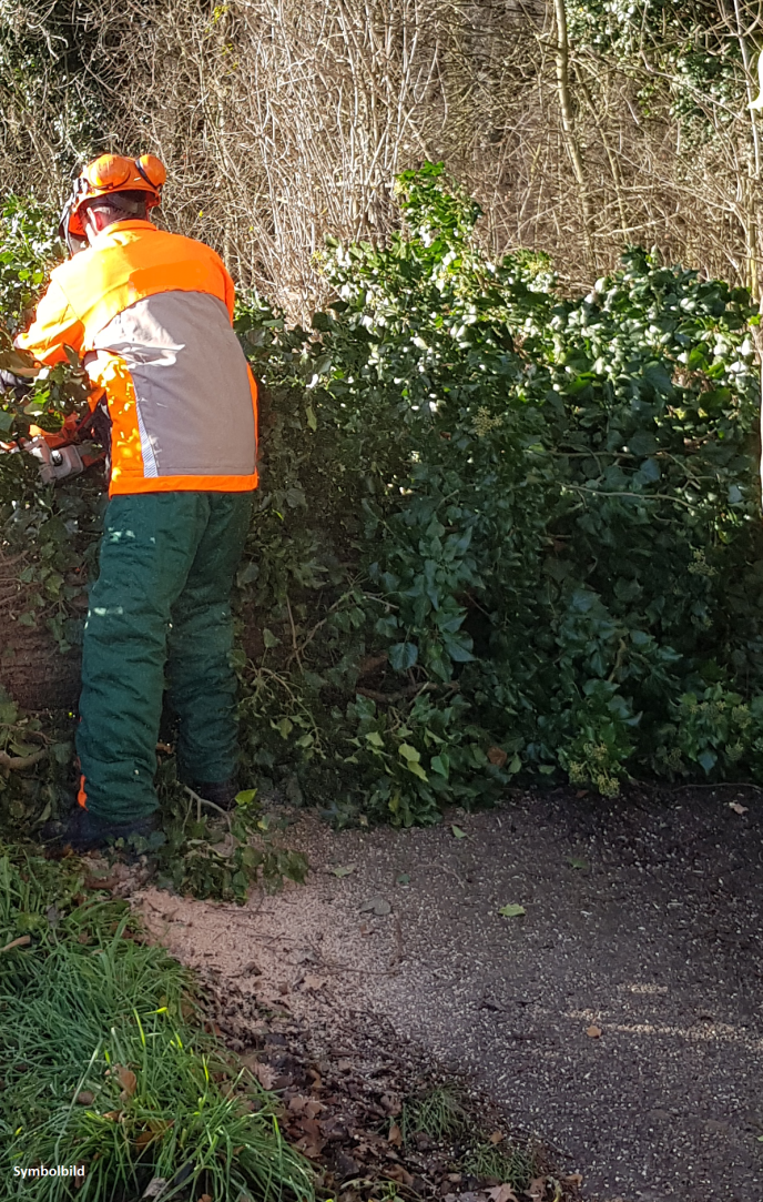 Einsatz Nr. 200 Hilfe 0 Baum über Fahrbahn