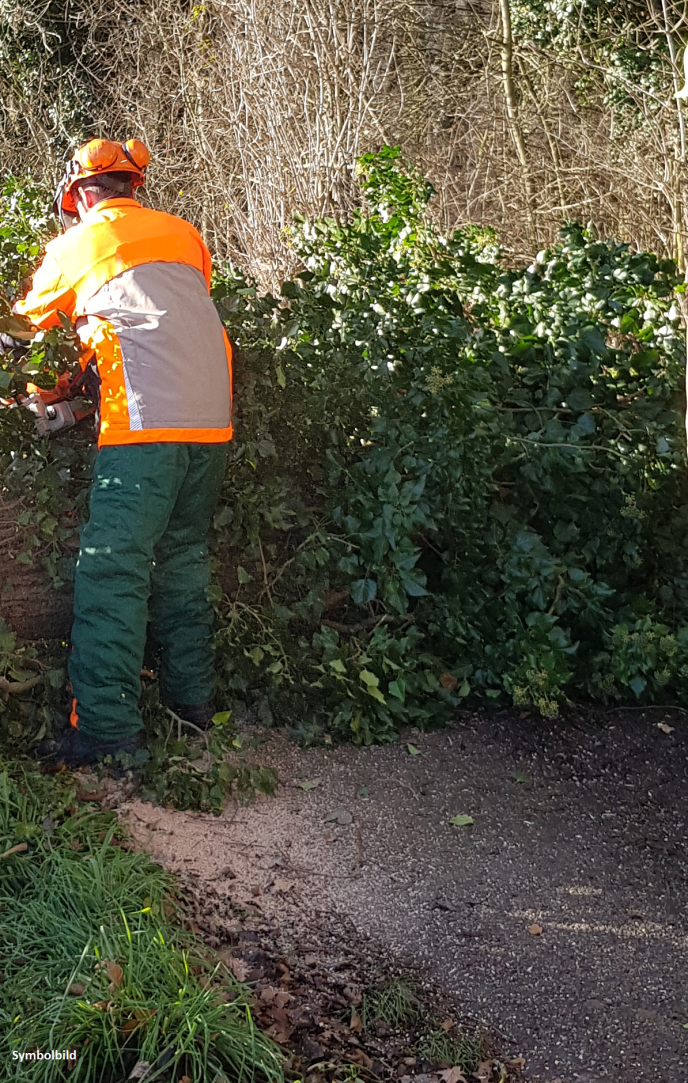 Einsatz Nr. 296 Hilfe 0 Baum über Fahrbahn