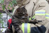 Einsatz Nr. 124 Hilfe 0 Tierrettung
