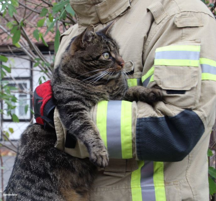 Einsatz Nr. 010 Hilfe 1 Tierrettung